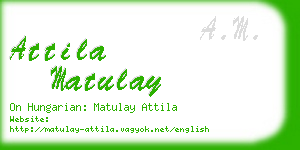attila matulay business card